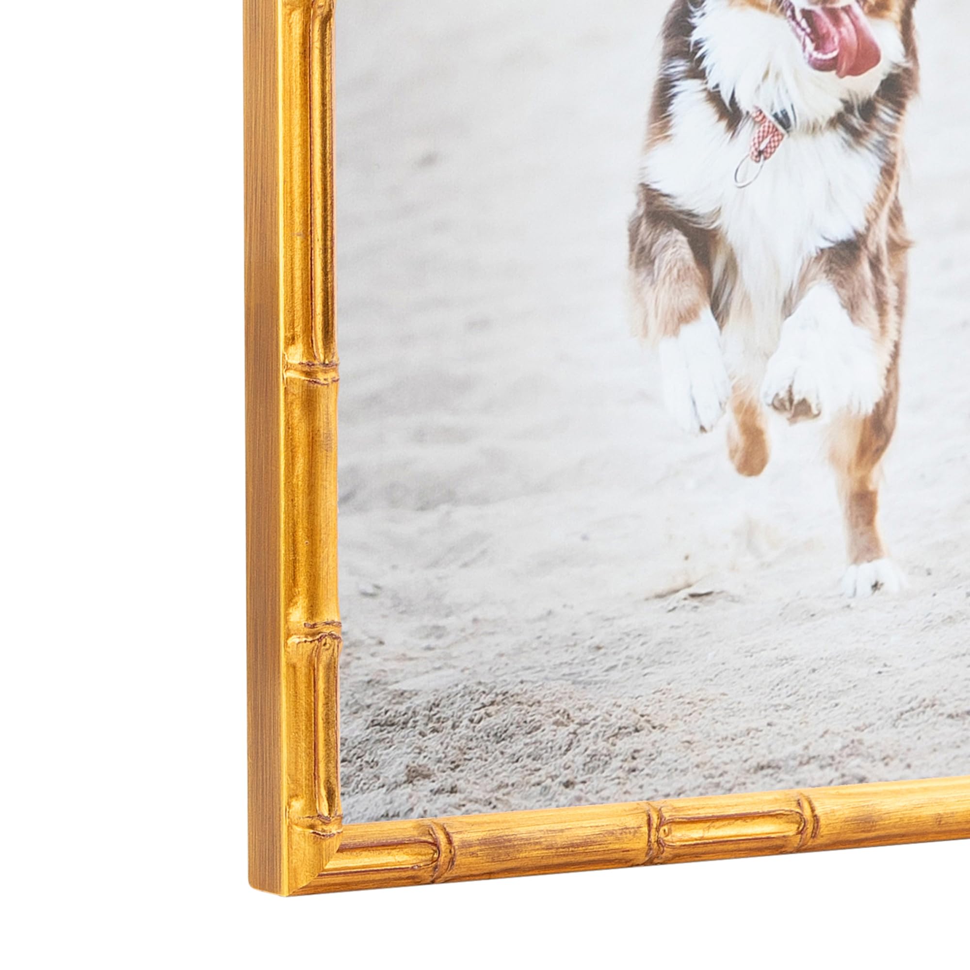 Amazon.co.jp: ArtToFrames 20 x 30インチ マルチピクチャーフレーム Amazon.co.jp: ArtToFrames 20 x 30インチ マルチピクチャーフレーム